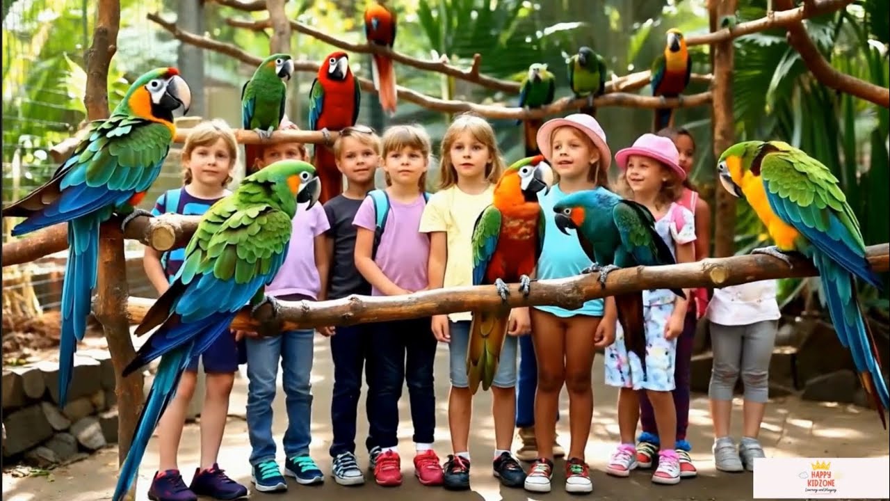 BURUNG KAKAK TUA || VERSI BARU 2026 || LAGU ANAK POPULER