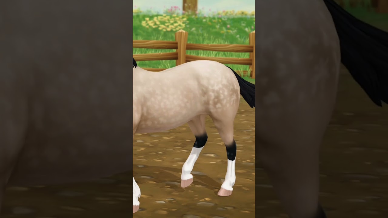 New StarStable Horses Coat Colors In Reality - Belgian Welsh Appaloosa  | SSO TikTok