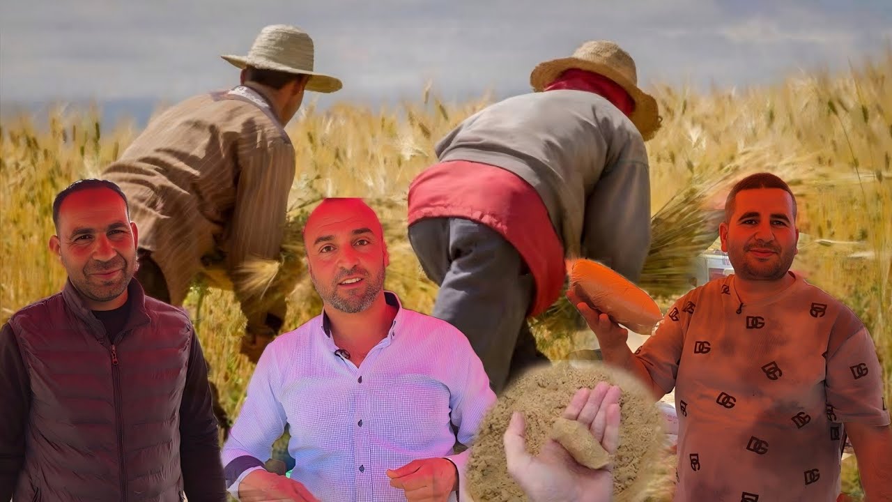 تجار الزميطة في الأسواق الأسبوعية يشعلون الجدل في الناظور بثمن غير مسبوق 30 درهم فقط