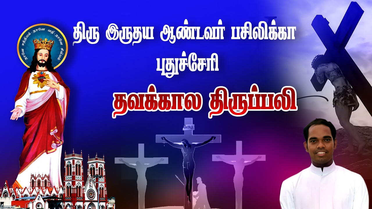 🔴நேரலை23.02.2026. தூய இருதய ஆண்டவர் பசிலிக்கா, திருப்பலி.12.00.PM