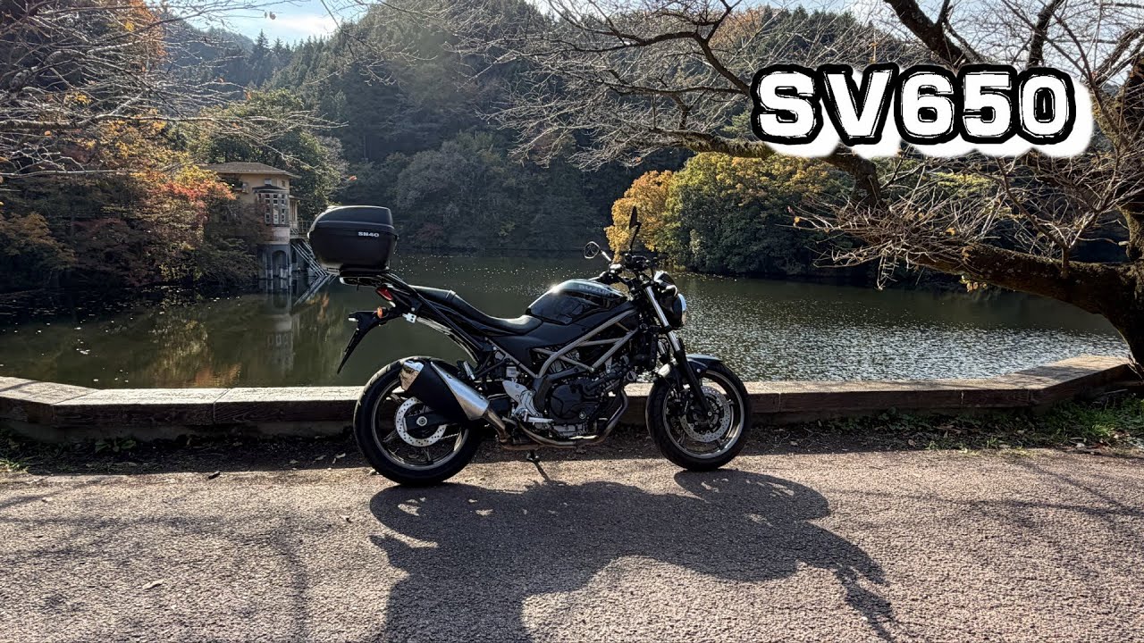 SV650　紅葉の秋【道の駅あしがくぼ ～ R299 ～ 鎌北湖】