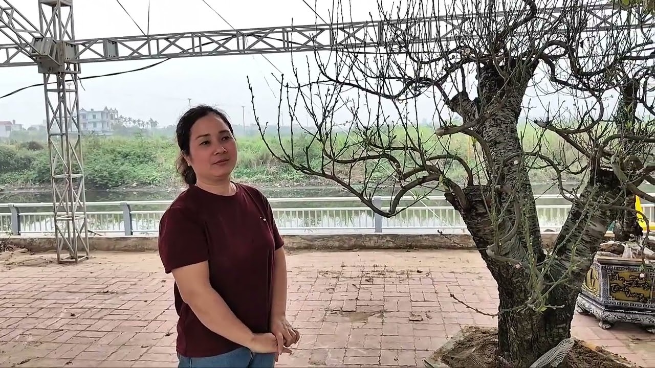 Gian hàng Đào Mộc Châu Sơn la đẹp ở chợ hoa Tết 2026 Hưng Yên 