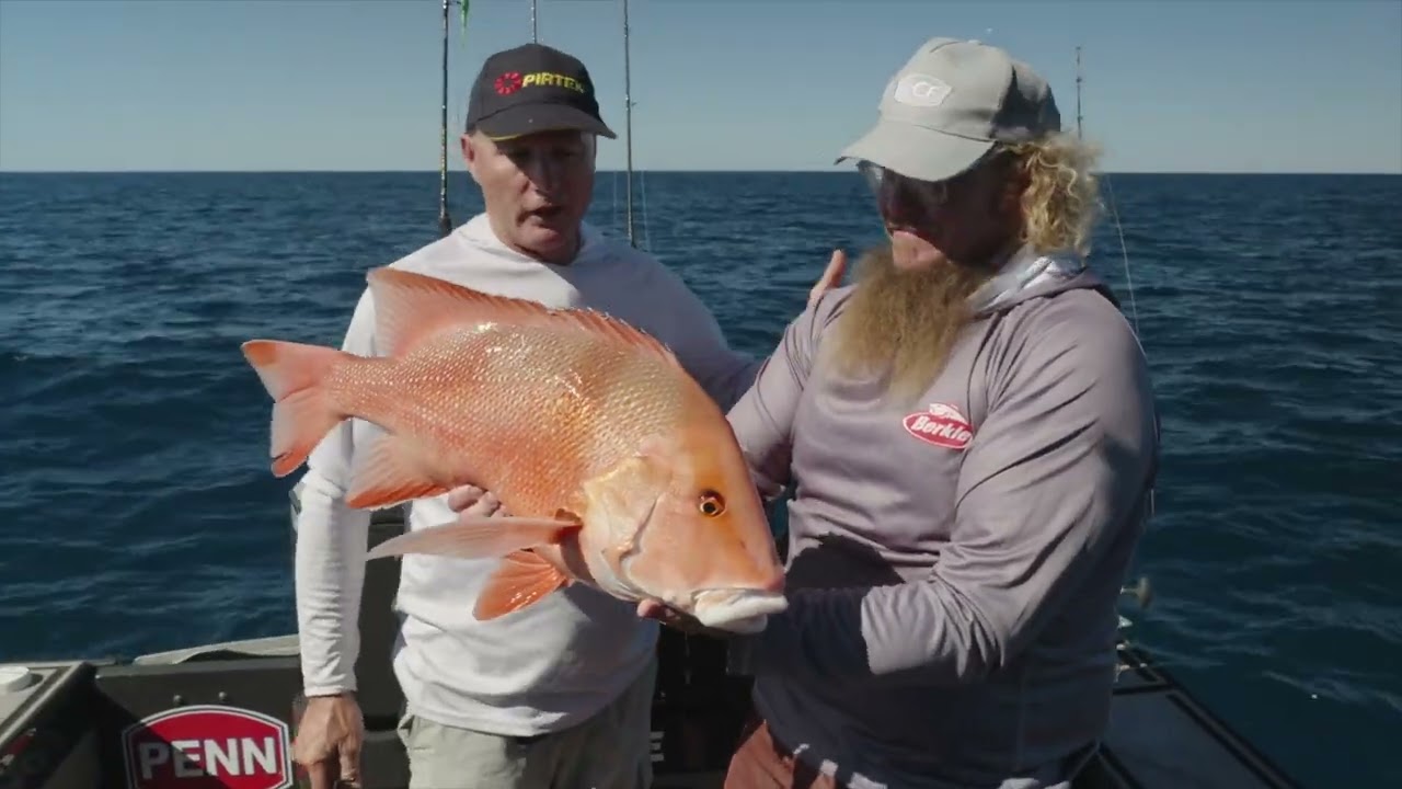Catching Red Emperor with Guesty