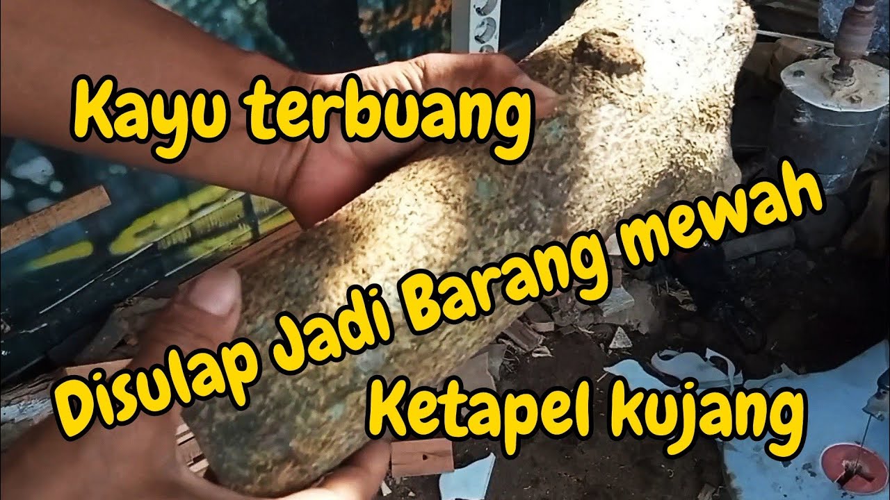 Cara Membuat Ketapel Dari Kayu Yang Terbuang | Ketapel K2 Kujang