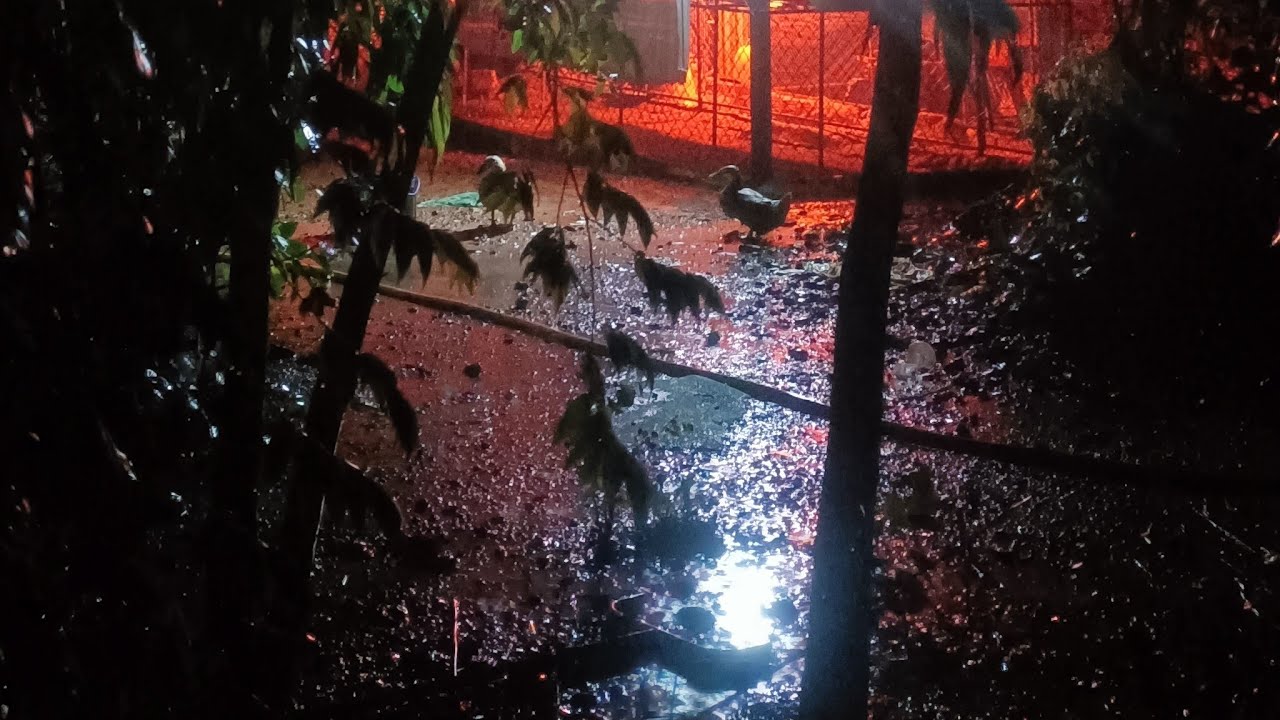 Midnight Serenity in the Rain 🌧️🌌✨