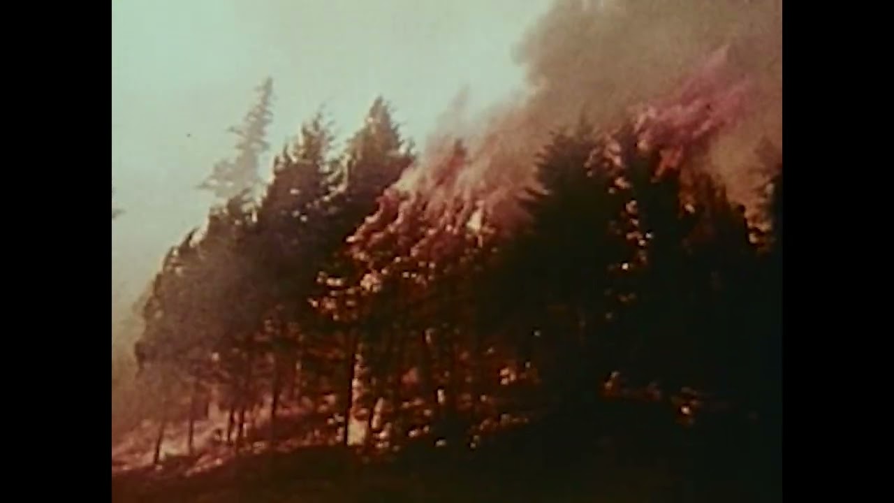NZTK, Øzlo - NADIEMÁS (Visualizer)