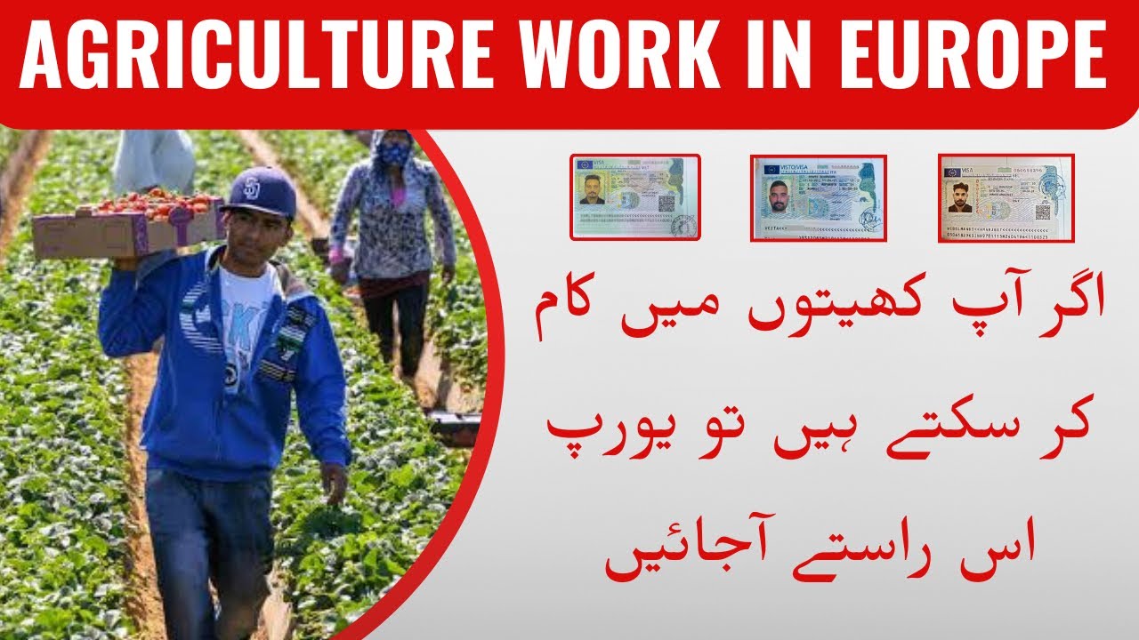 Agriculture Work in Europe | Romania, Spain, Italy & Estonia | Complete Guidelines | Every Visa