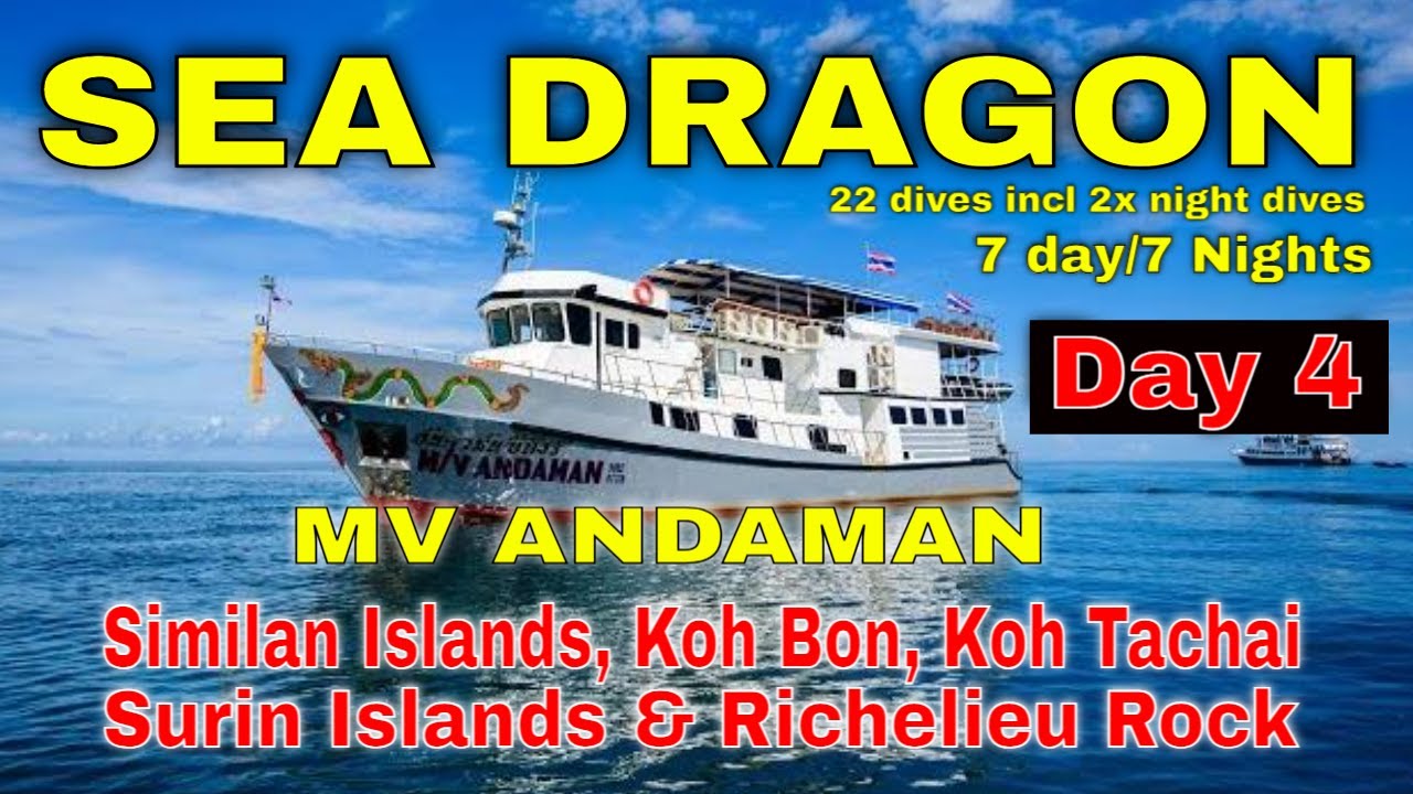 День 4: Острова Сурин — Sea Dragon — MV Andaman Liveaboard — Андаманское море — Дайвинг