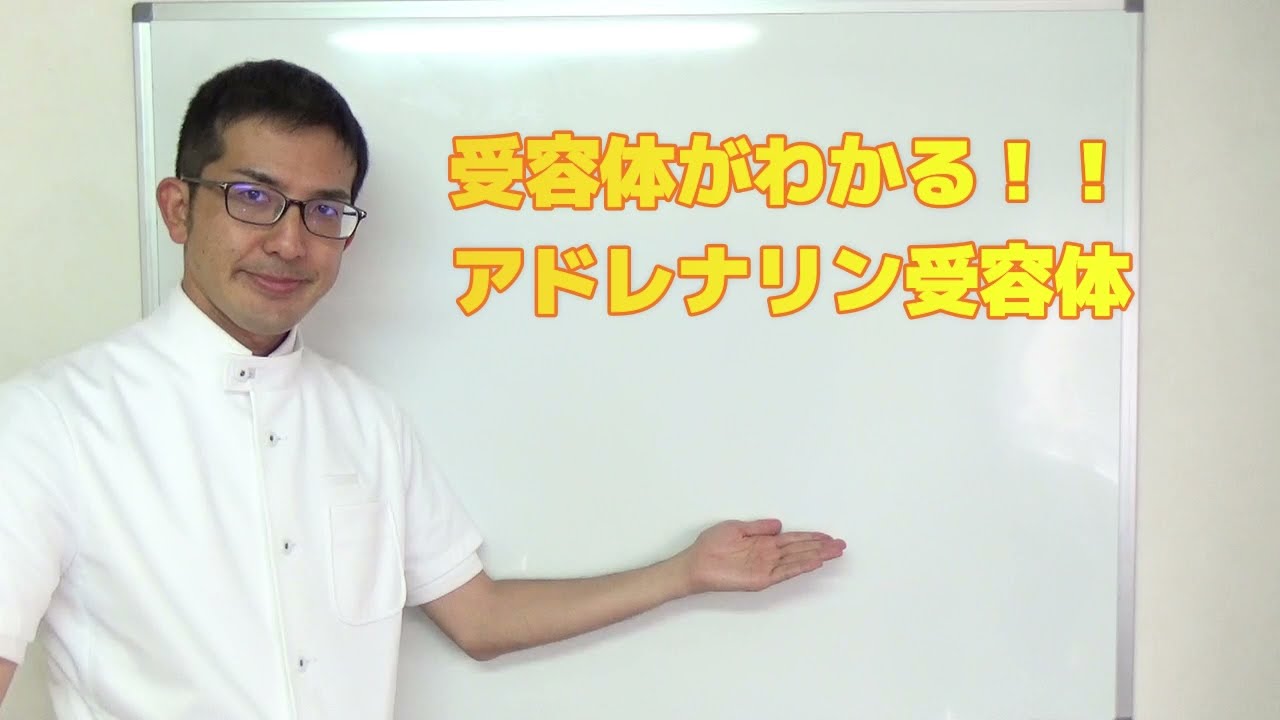 かんたん薬理学【アドレナリン受容体】