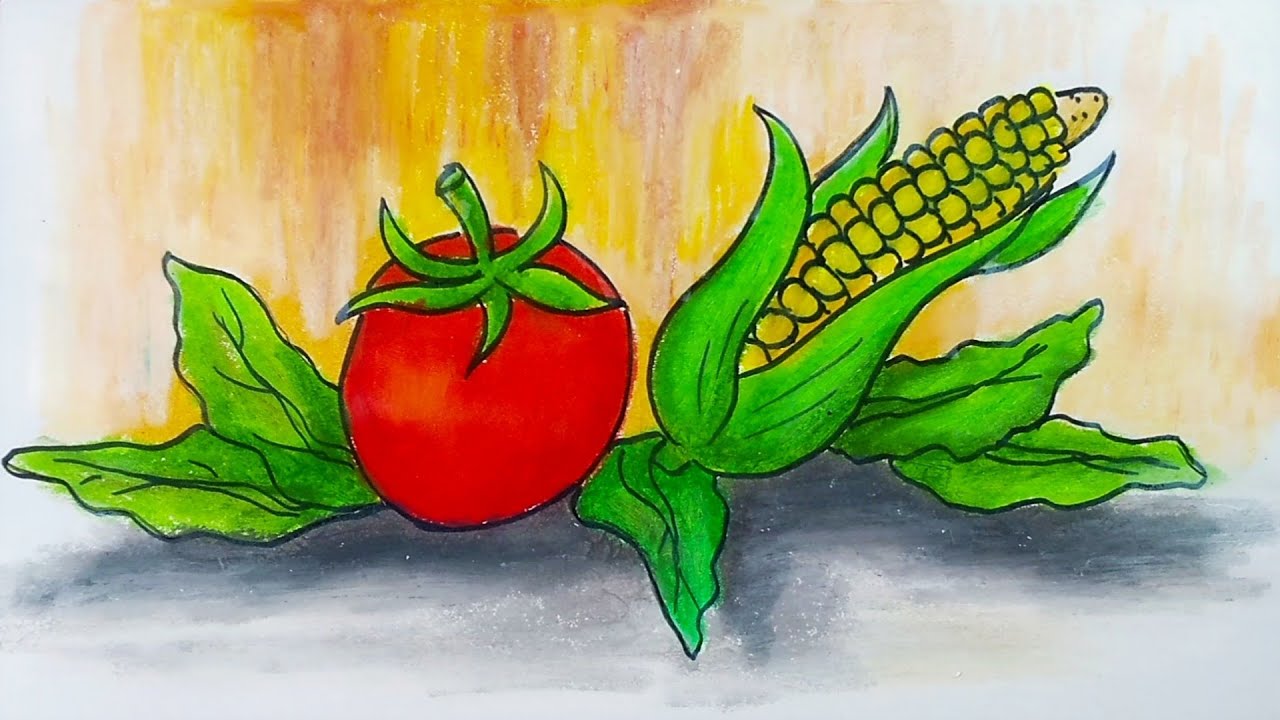 Menggambar buah tomat dan jagung || Belajar menggambar dan mewarnai dengan crayon