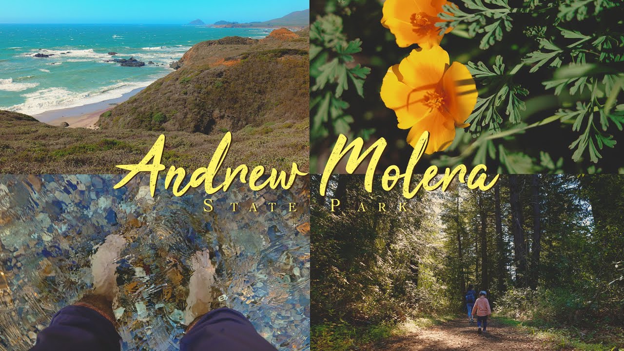 Andrew Molera State Park: One of the Best Hikes in Big Sur, California