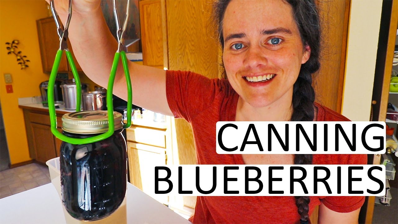 Canning Blueberries - Raw Pack With Results | Fermented Homestead