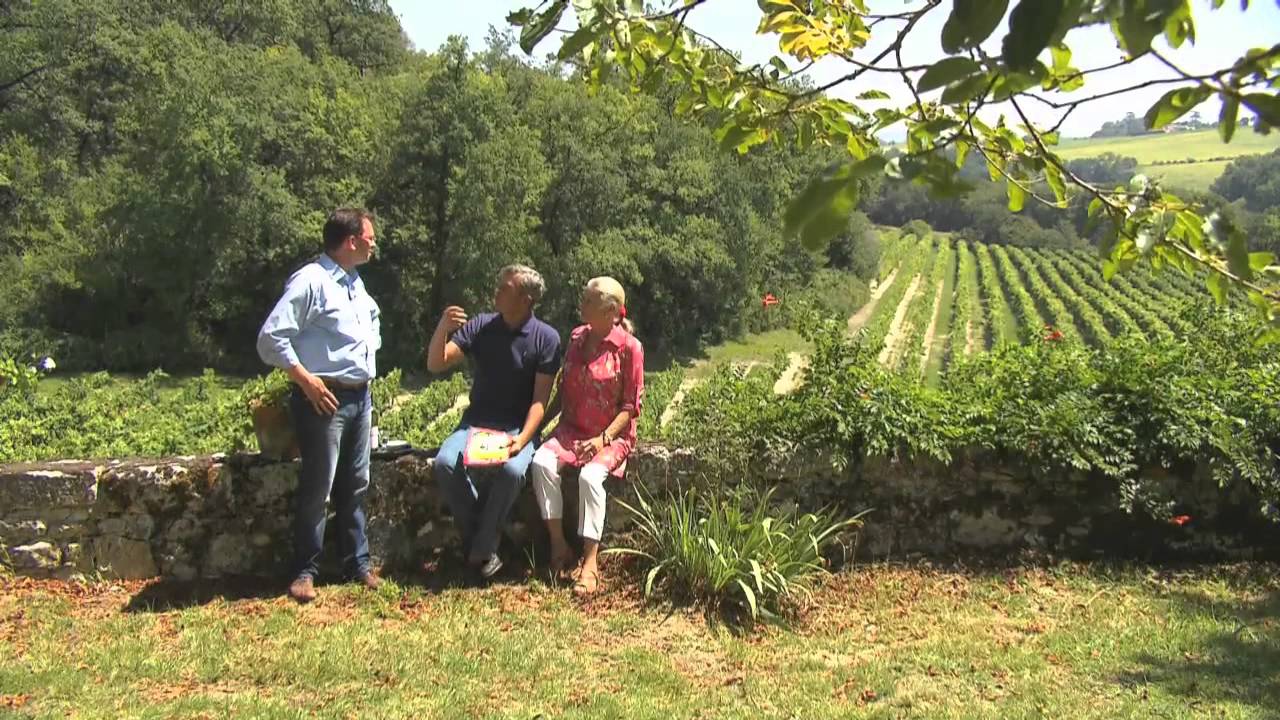 Weine aus S&uuml;dwest Frankreich - traumhafte Weinberge, hervorragende Rebsorten