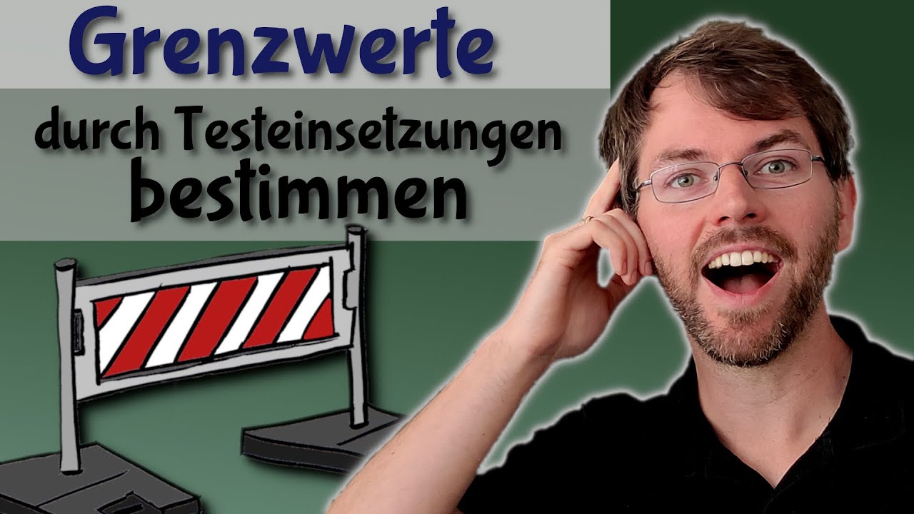 Grenzwerte bestimmen | Limes mit Testeinsetzungen / Taschenrechner | Verhalten gegen unendlich