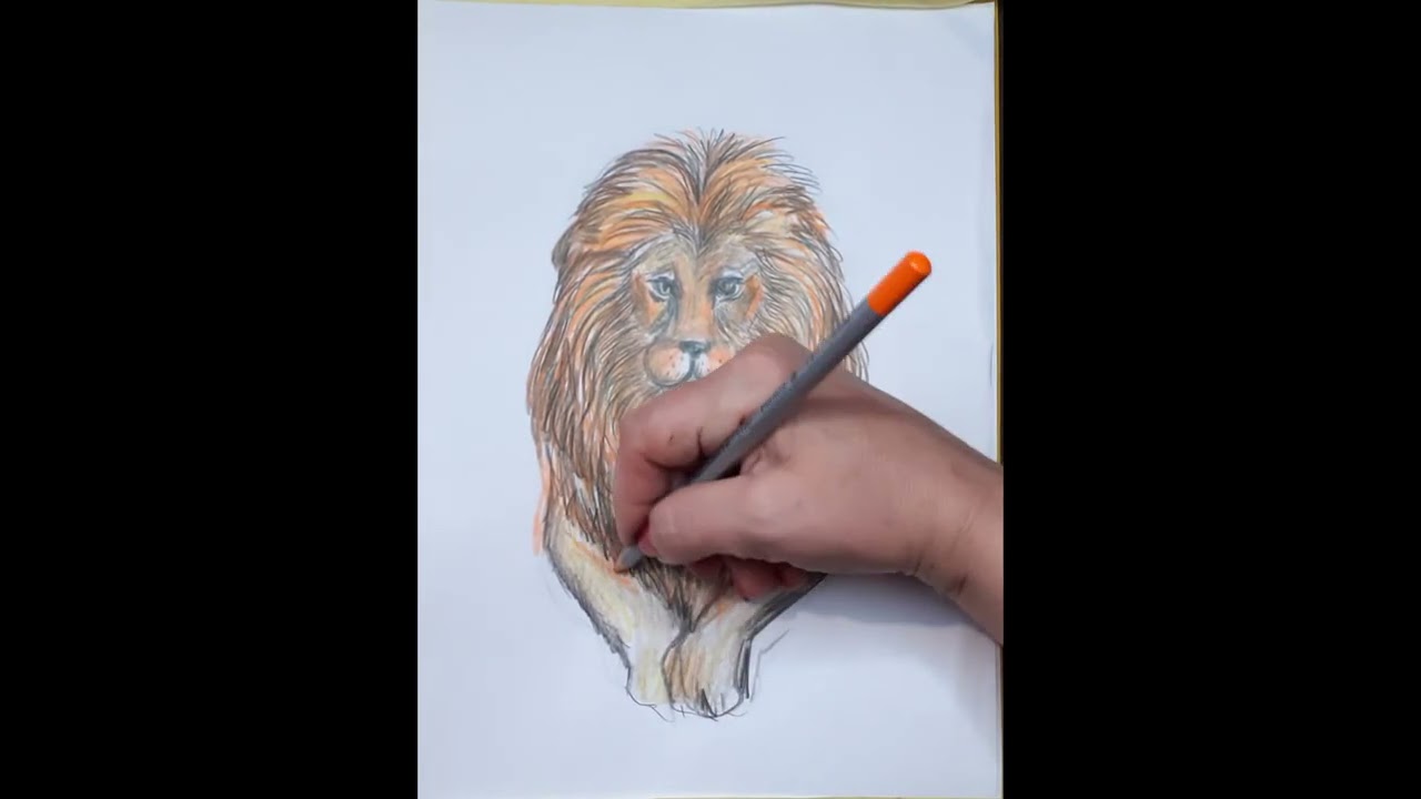 Як намалювати лева. How to draw a lion. Малюнок для дітей поетапно олівцями.