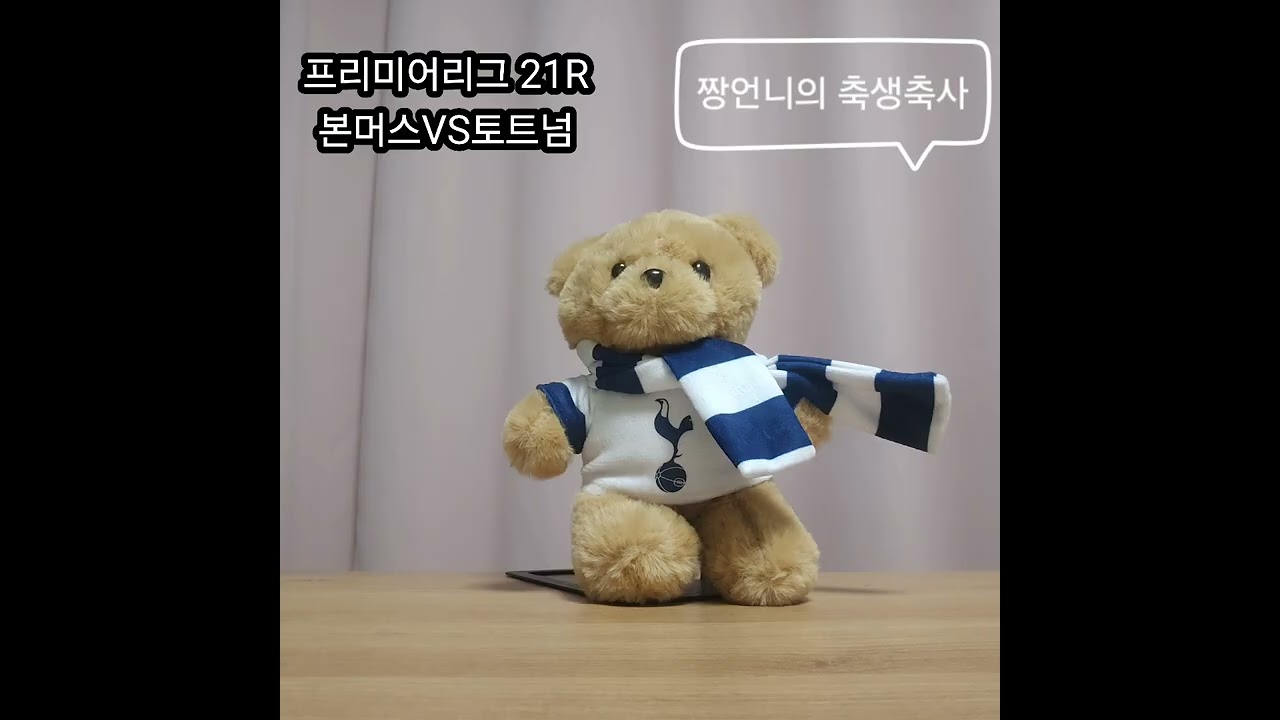 2526 프리미어리그21R 본머스VS토트넘 토트넘 편파응원