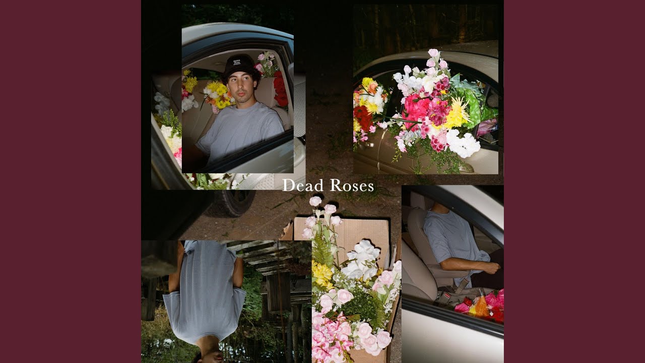 Dead Roses