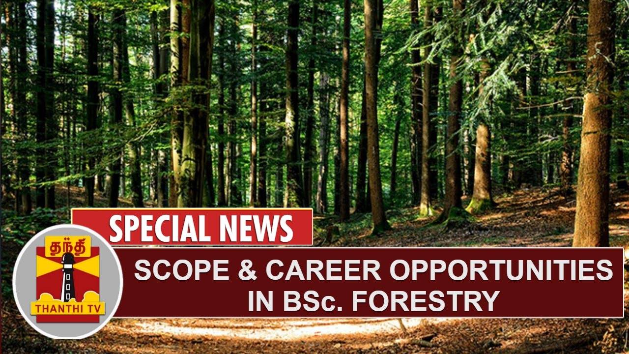 Special News : Scope & Career Opportunities in B.Sc. Forestry | Thanthi TV