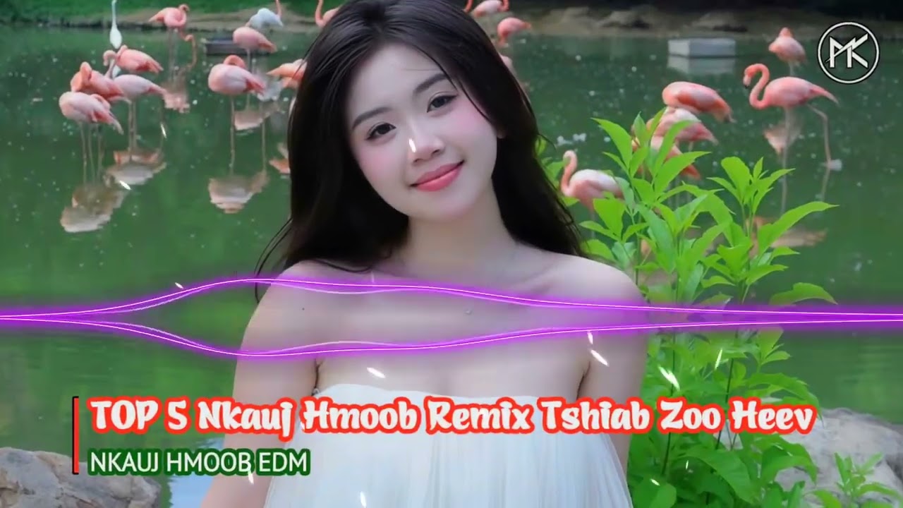 TOP 5 Nkauj Hmoob Remix Zoo Noog Heev Tshaj Plaws | Nyob Los Koj Tsis Hlub Remix | Nkauj Hmoob EDM