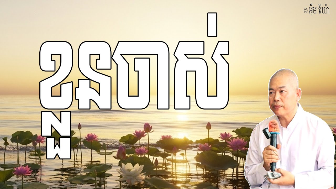 ខ្លួនចាស់ ព្រោះសត្វសម្គាល់ខុស គឺ 