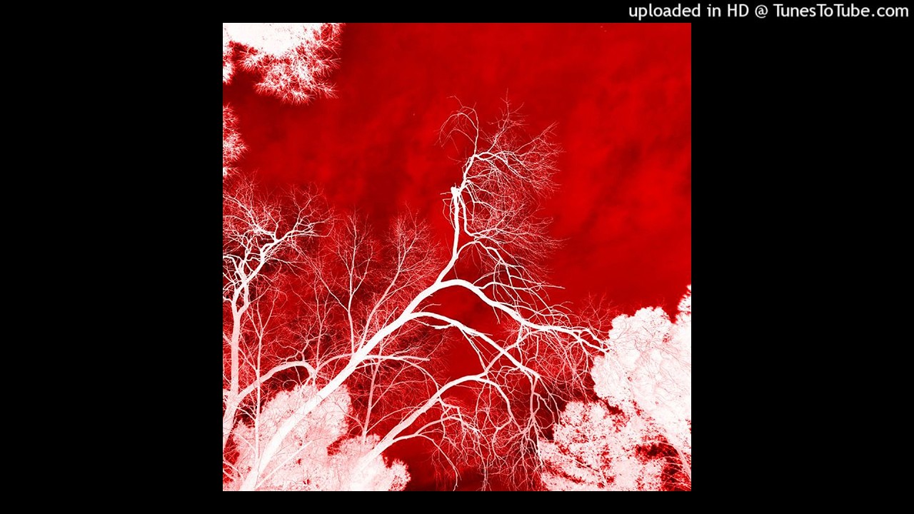 [free for profit] ambient + experimental type beat 