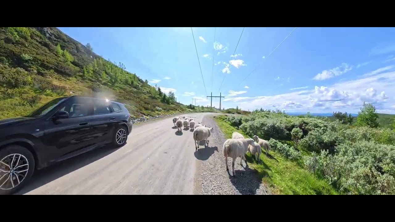 2025-3: Peer Gynt Vegen, Norway