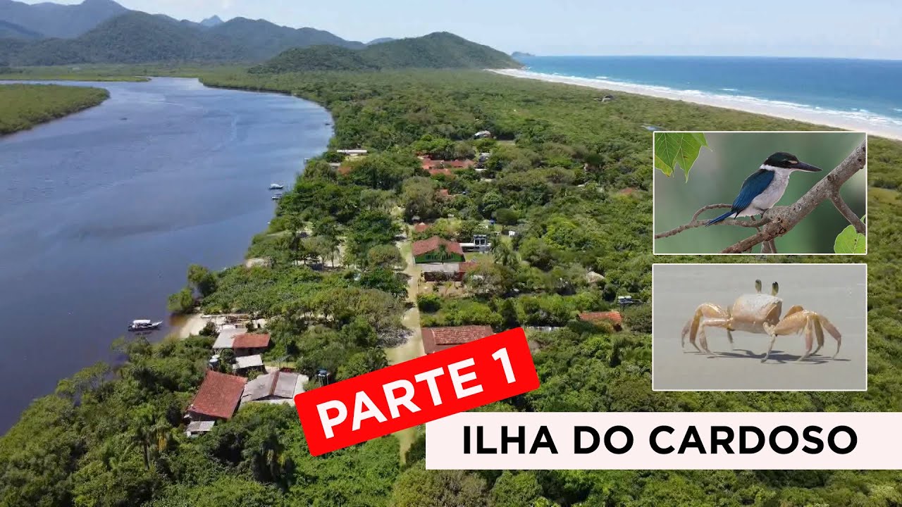 Parque Estadual Ilha do Cardoso - PARTE 1