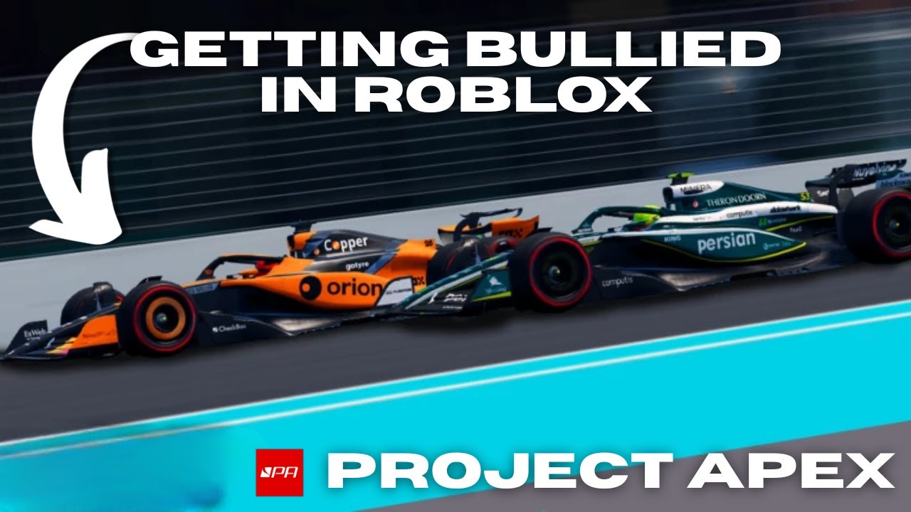 I LEGIT GOT BULLIED IN A PUBLIC SERVER