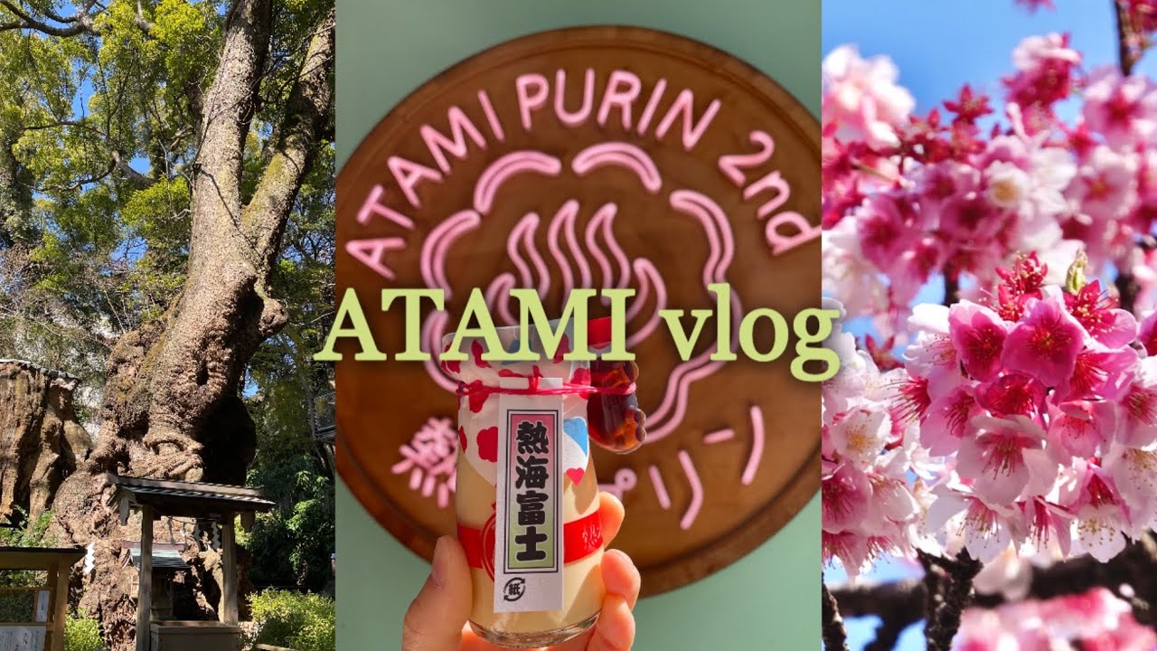 『熱海観光』春の熱海日帰り旅　熱海プリン🍮/熱海桜🌸/來宮神社⛩️