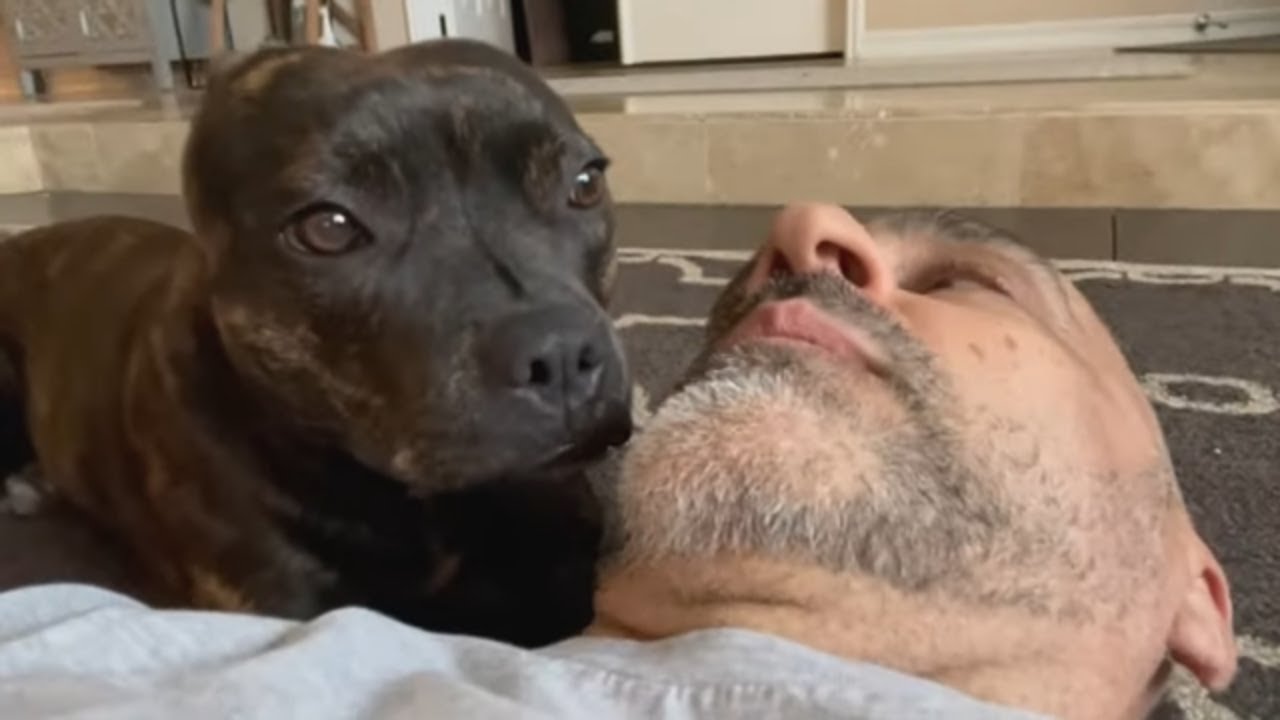 My Dog got so worried when she saw me lying on the ground