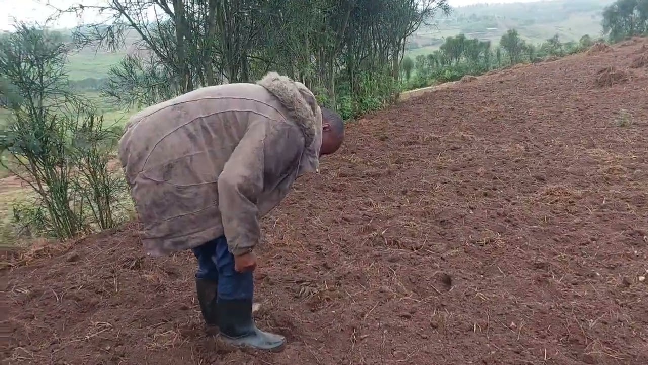 Isambu igurishwa mu rugabano rwa kigali na rurindo 4ha kuri 200million  gusa hamagara 0788796038