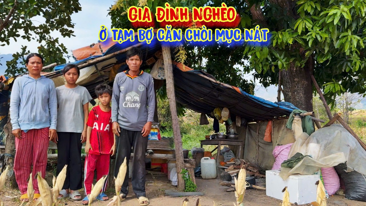 MÙNG 3 TẾT, gia đình nghèo, sống tạm bợ trong CĂN CHÒI rách tả tơi - tập 1663