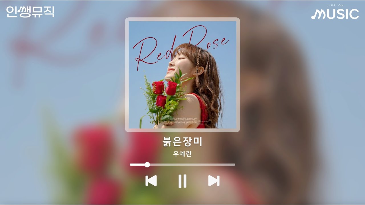 [Playlist🎵] 청춘과 청량 사이 플레이리스트🍀