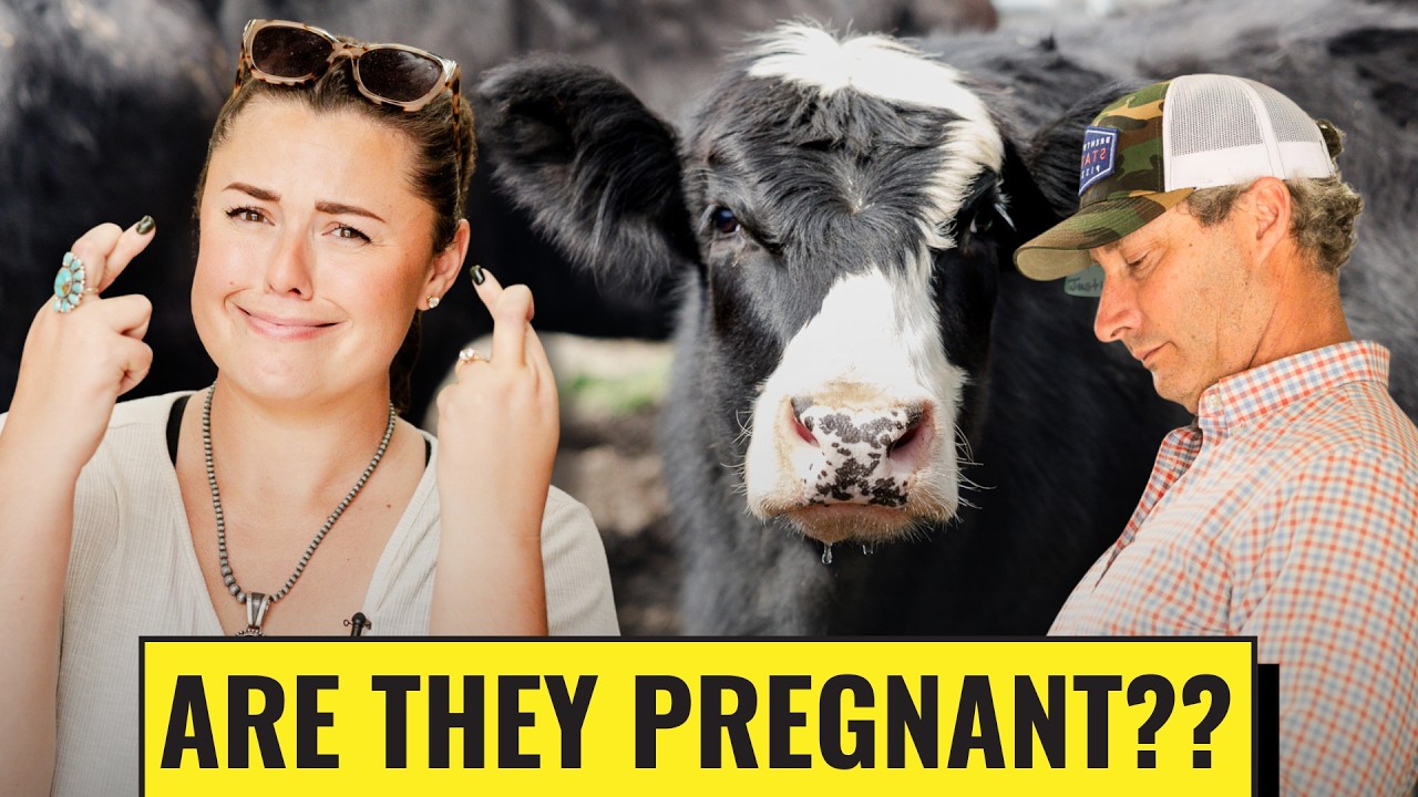 Will Any Of My Animals Have Babies Next Year??