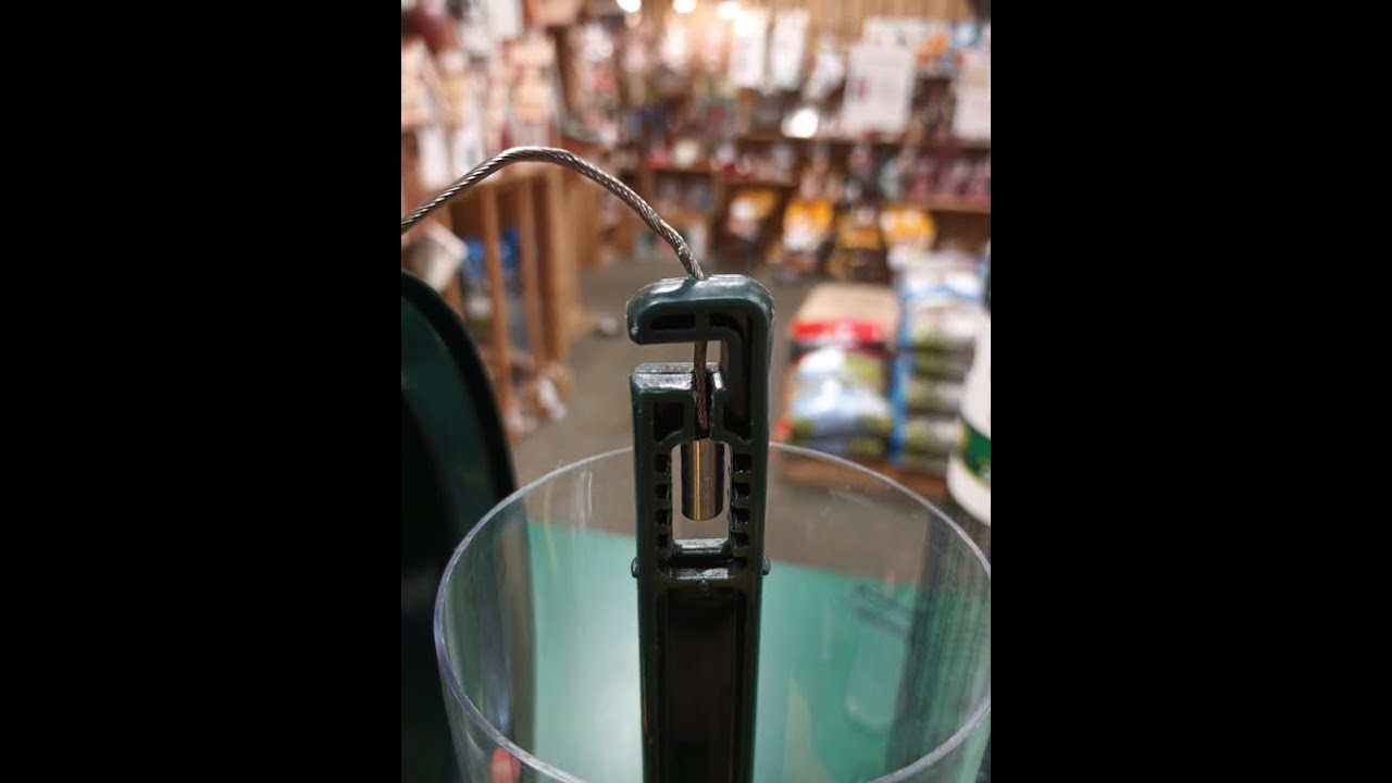 Disassembling the Squirrel Buster Classic for Cleaning