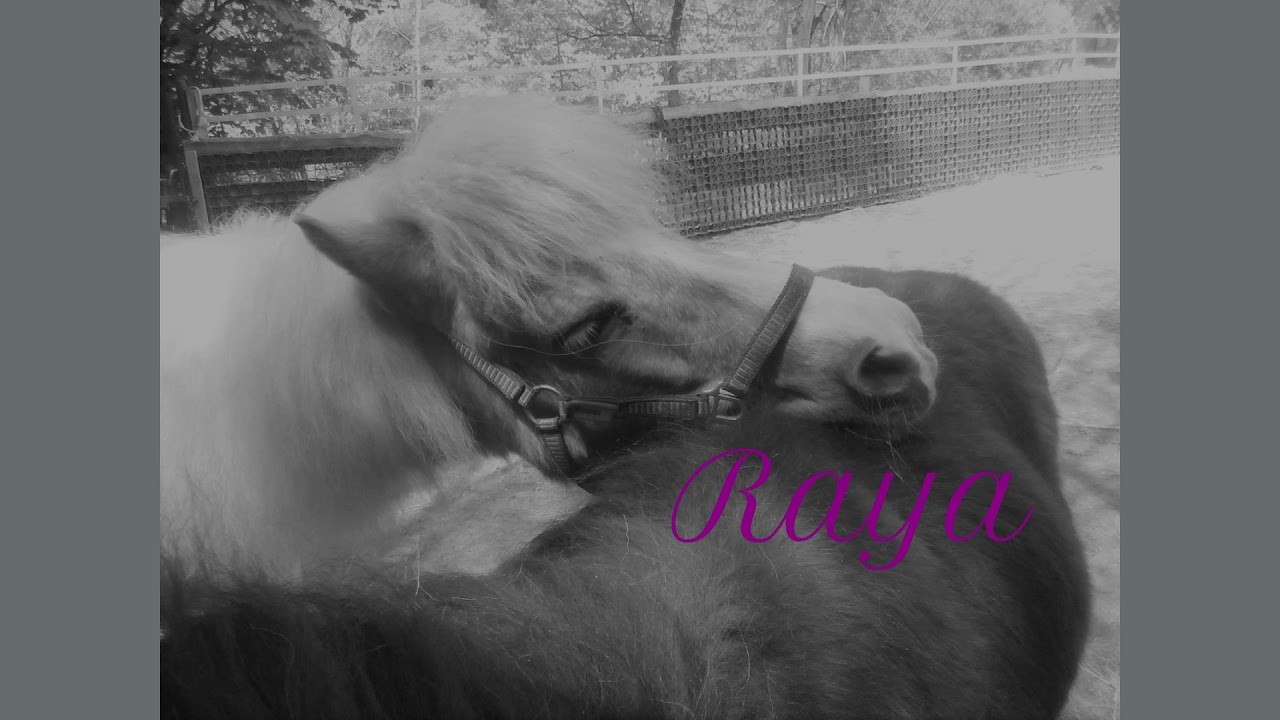 Gnadenhof Fränkische Schweiz Rückblick 2020/2021