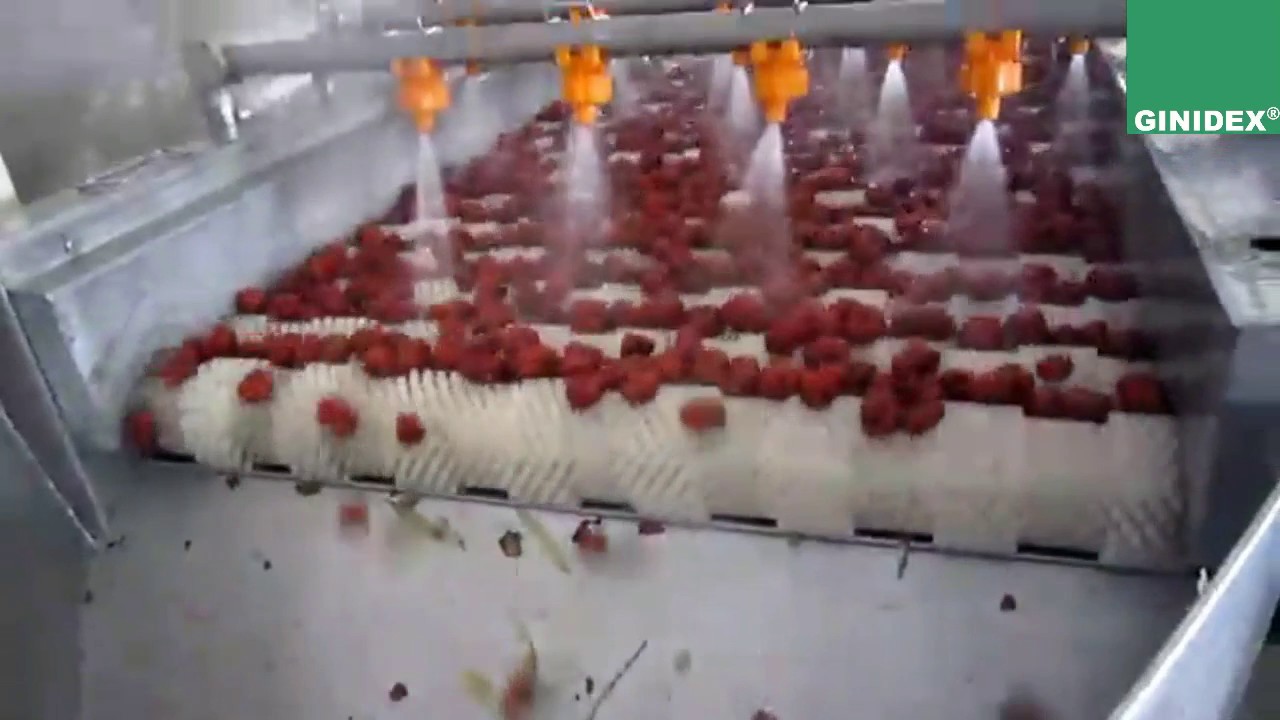 EURL GINIDEX ALGÉRIE: Ligne de séchage des fruits .