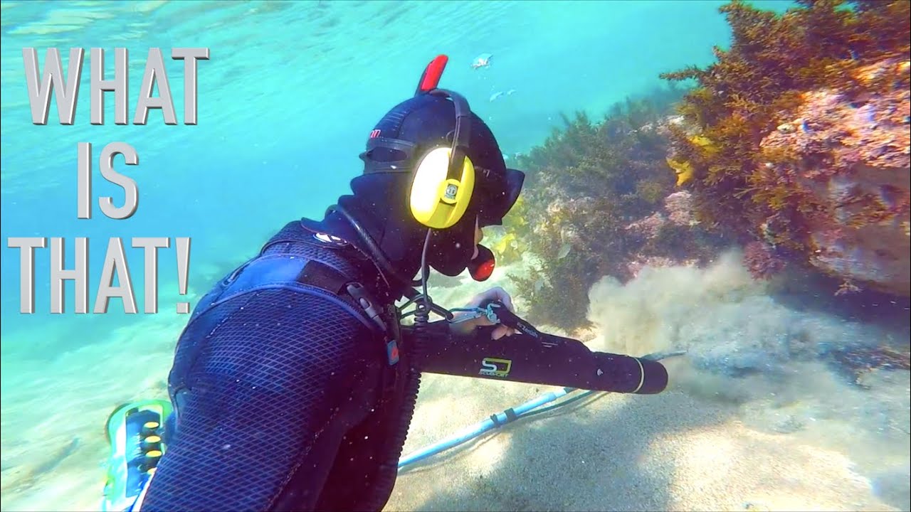 Shipwreck Found Hidden GOLD RELICS Underwater Metal Detecting with Deadly Predator!!