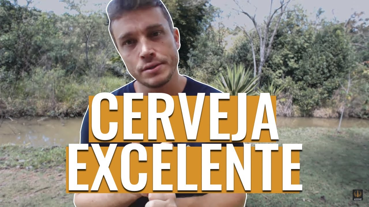 O que &eacute; uma cerveja excelente... (conceito)