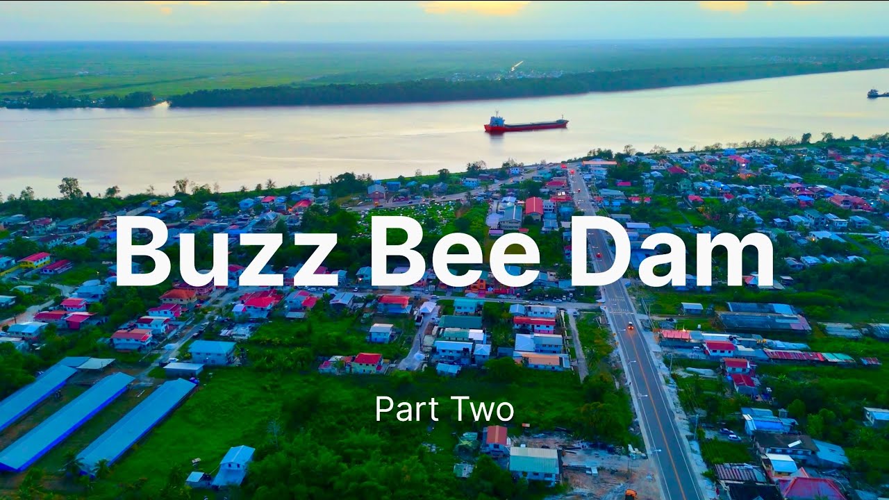 Buzz Bee Dam Completed 