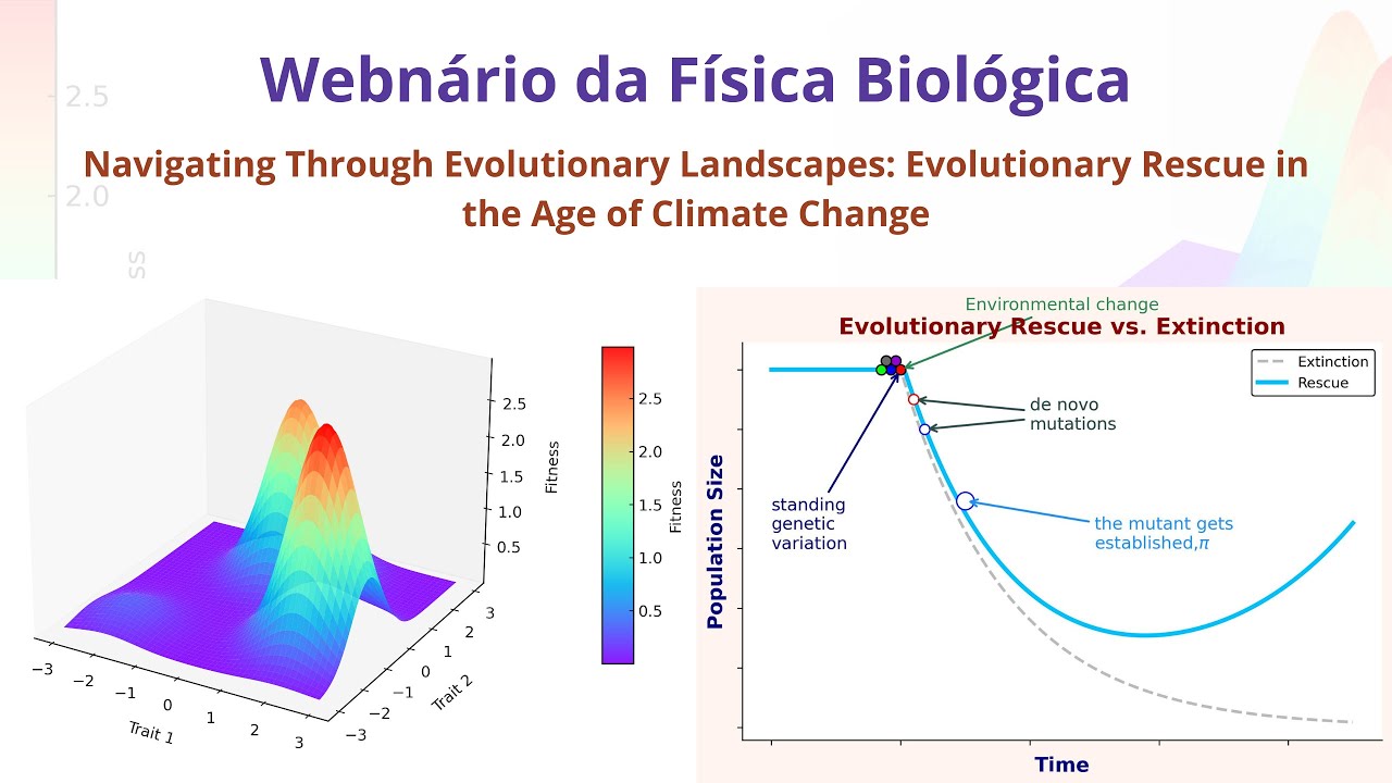 Webinário da BIO - Navigating Through Evolutionary Landscapes: Evolutionary Rescue in the Age of ...