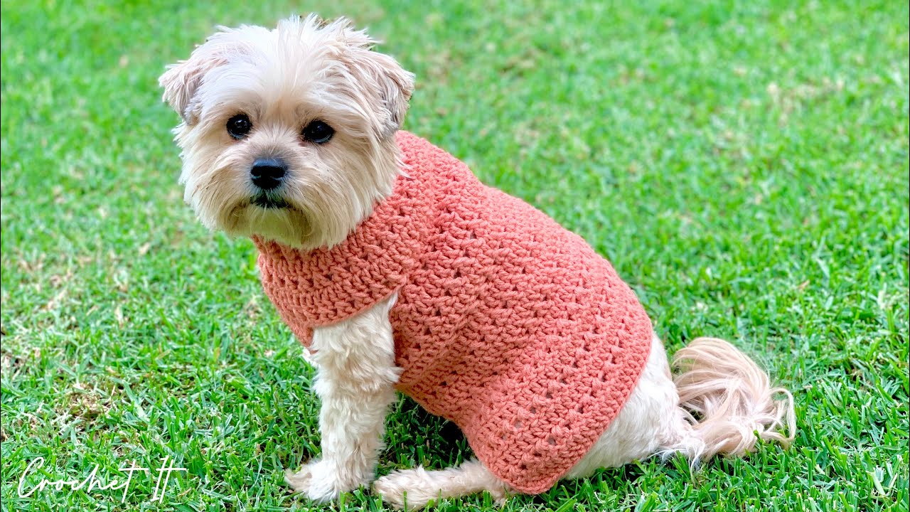Crossed double crochet stitch dog sweater | Small | Full tutorial | Crochet It
