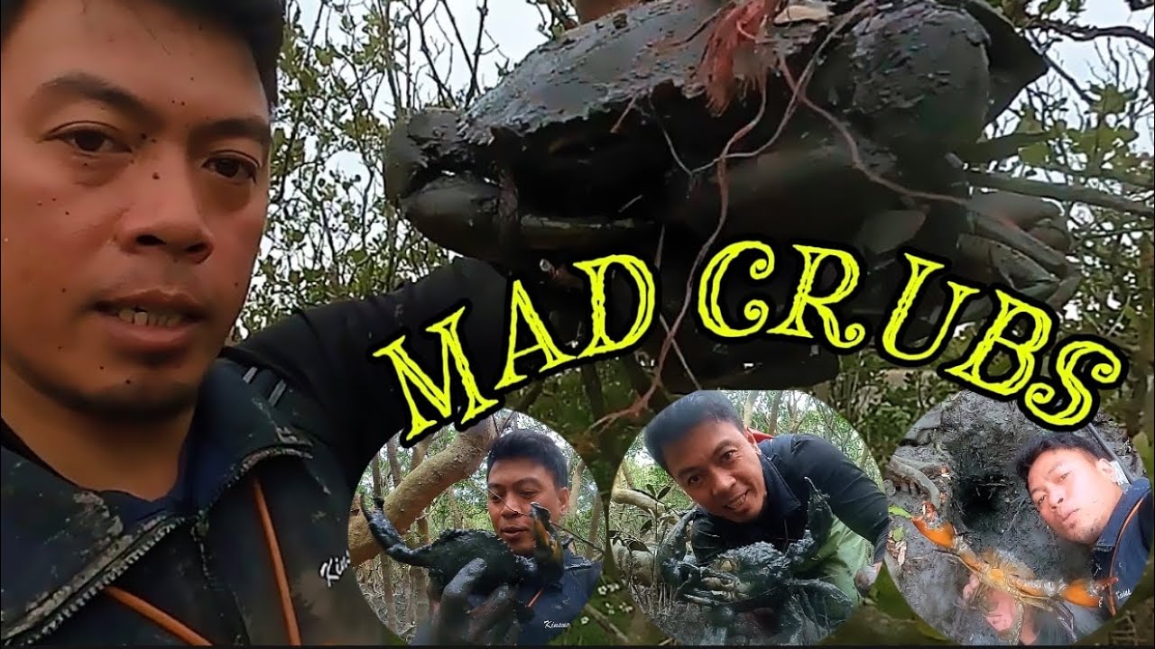 Mud crabs hunting, Paldo! Tiba tiba sa dami ng alimango.