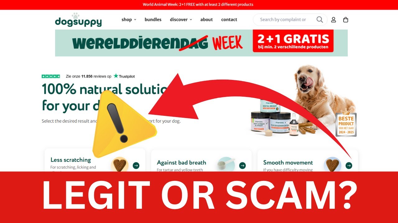 Обзор Dog Suppy &mdash; легальный магазин или мошенничество?
