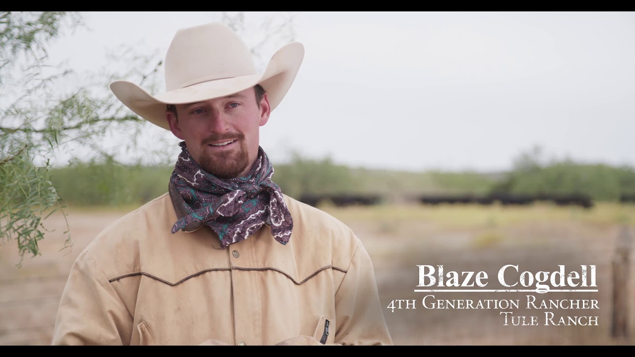 TheCut WesternHorseman ExclusivePreview