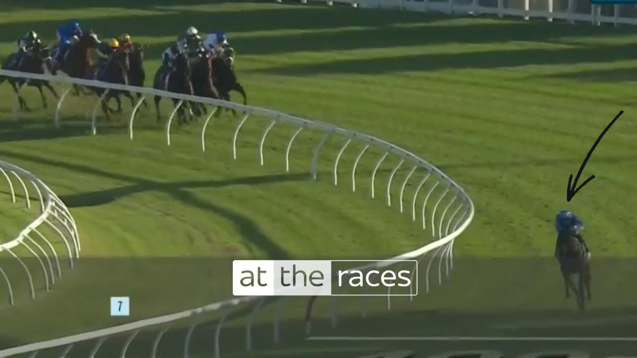 «ЗАБЕГ СТОЛЕТИЯ!» | Pride Of Jenni побеждает в скачках Queen Elizabeth Stakes