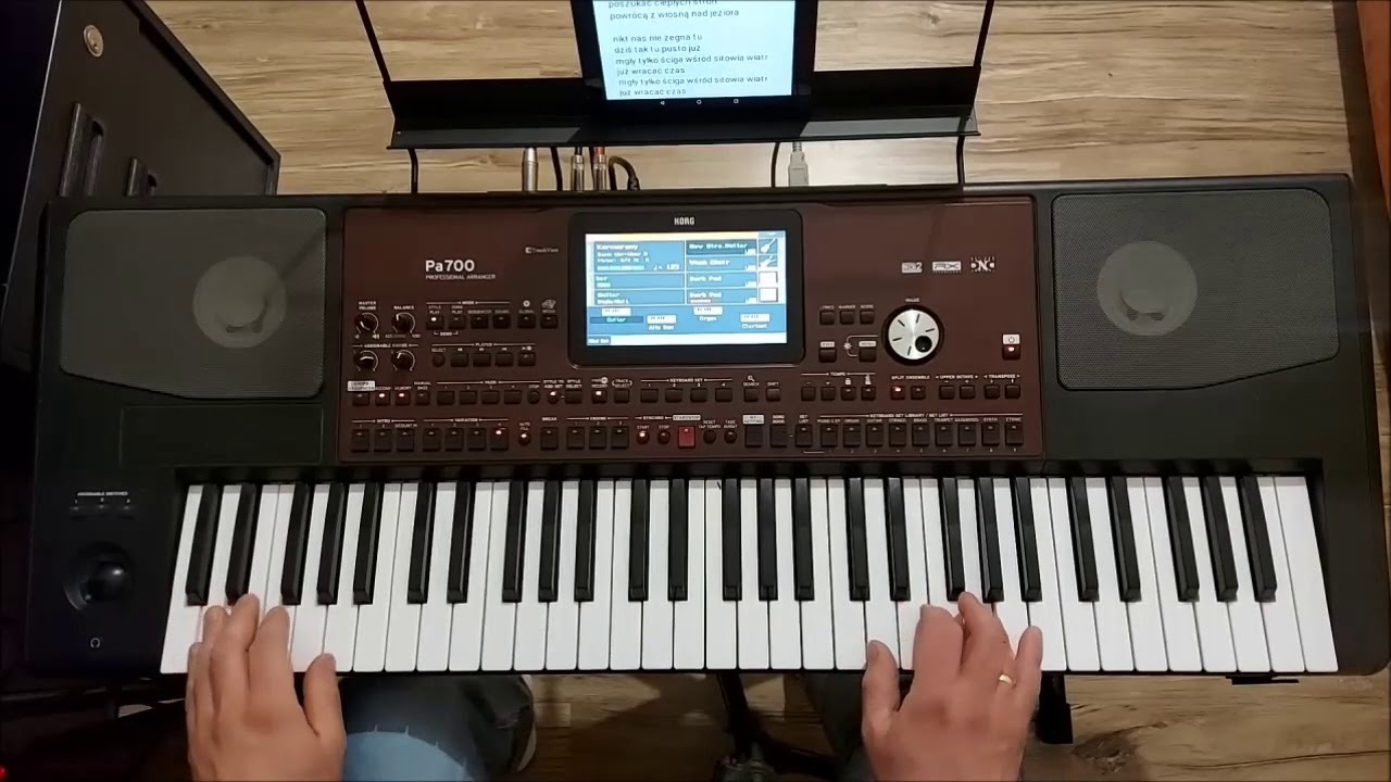 Piotr Szczepanik-Goniąc kormorany cover Łukasz Korg Pa 700