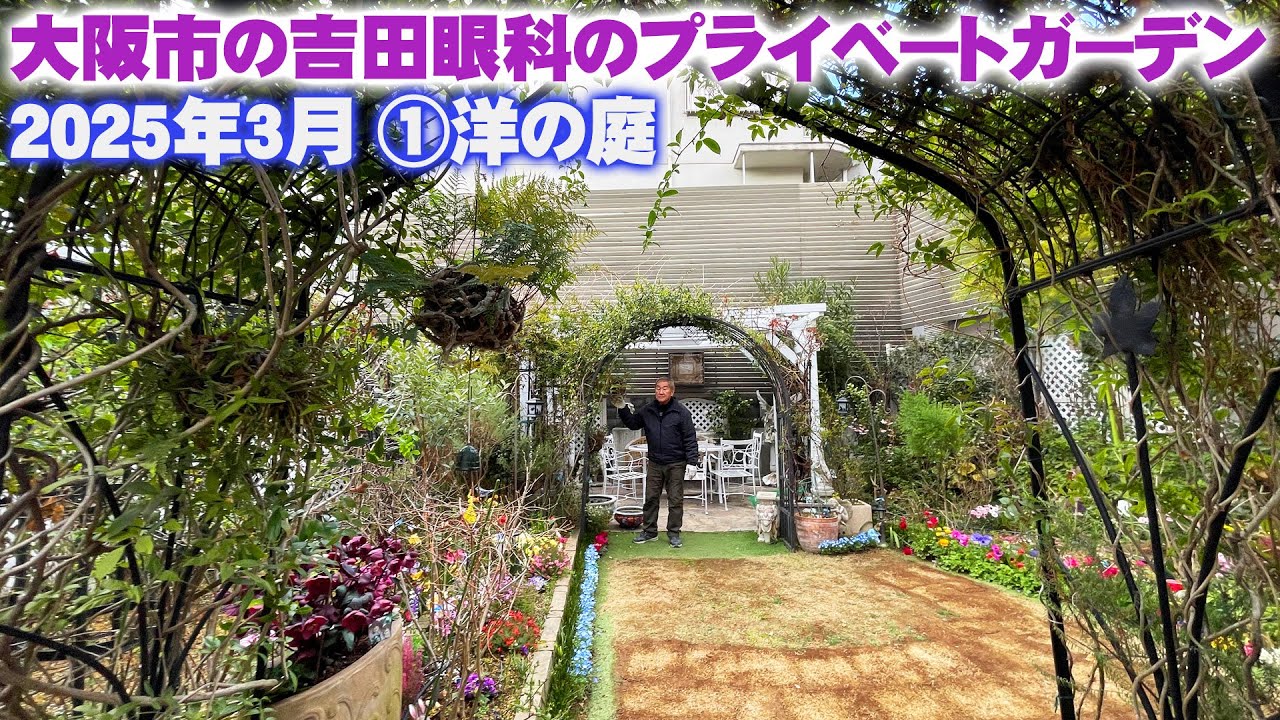 【花と緑のグリーンバレイ】吉田眼科の庭2025①春の始まりへ！間もなく開花する準備中の洋風の庭を紹介【お庭訪問】