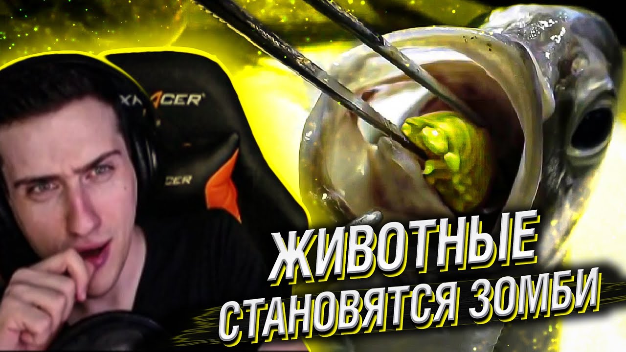 Hellyeahplay смотрит: Вот Как Животные Превращаются в Зомби