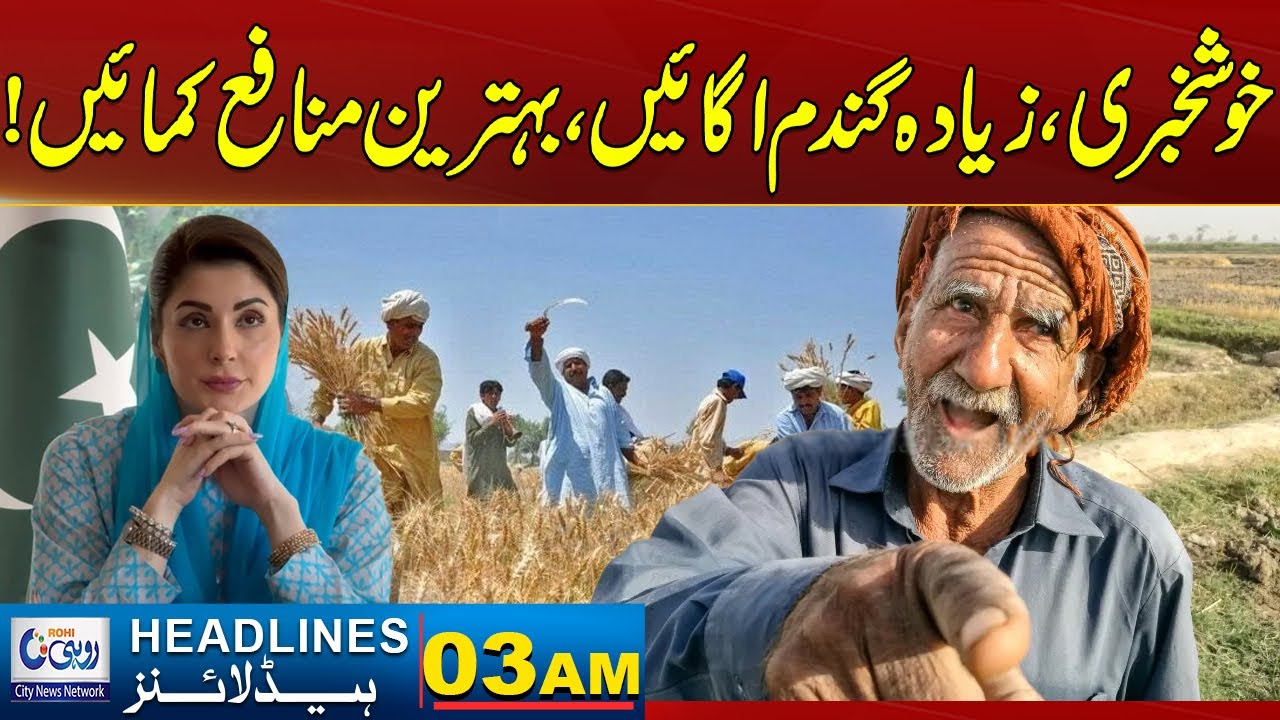 Good News For Farmers - Increase Production, Boost Income | 3 AM News Headlines | 12 Nov 2025 | Rohi